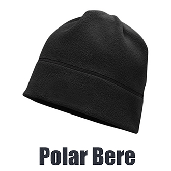 Polar Bere