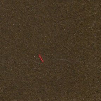 Pellentesque quis viverra turpis. Donec.