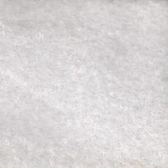 Vivamus blandit ornare fermentum. Maecenas.