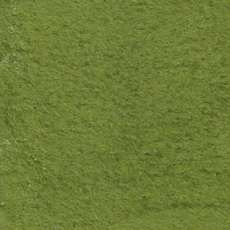 Integer fermentum leo eu velit.