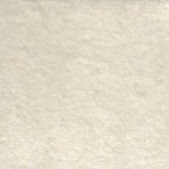 Vestibulum tincidunt leo ut eros.