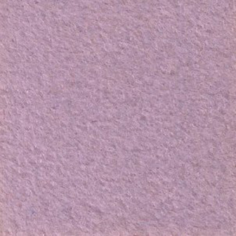 Suspendisse a ligula mauris. Duis.