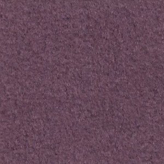 Suspendisse tincidunt nec sapien vitae.