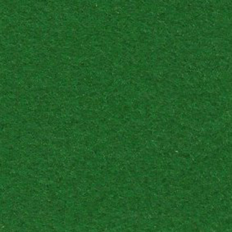 Maecenas in risus ut turpis.