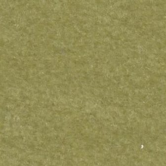 Vivamus blandit ornare fermentum. Maecenas.