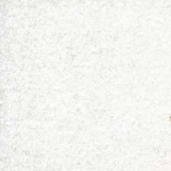 Suspendisse a ligula mauris. Duis.