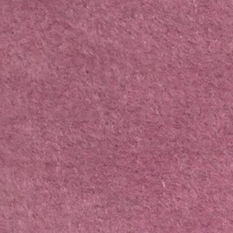 Nulla a sapien eget augue.